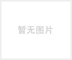 先驰LZS微小型金属管转子流量计厂家